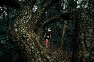 BIB: 
                            <button type="button" onclick="openModal(25686199)" class="btn btn-primary btn-sm float-right btn-popup" data-toggle="modal" data-target=".modal-high-quality">
                        <i class="fas fa-shopping-cart"></i> Add to Cart
                    </button>
                                            <button type="button" onclick="isThisMe(25686199, true)" class="btn btn-success btn-sm float-right btn-popup btn-isme hidden" data-toggle="tooltip" data-placement="bottom" title="นี่คือรูปของคุณใช่ไหม คลิกที่นี่เพื่อเอาเข้าอัลบั้ม">
                        <i class="fas fa-plus"></i> Add to album
                    </button>
                    <button type="button" onclick="isThisMe(25686199, false)" class="btn btn-warning btn-sm float-right btn-popup btn-isnotme hidden">
                        <i class="fas fa-ban"></i> Remove from album
                    </button>